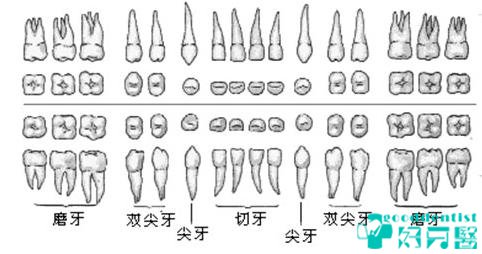 根管治疗-深圳根管治疗-深圳根管治疗价钱